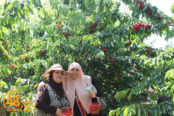 re7la bayere3jqw (25).JPG